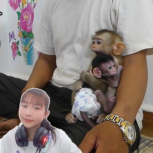 OMG!! Little Monkey Feel Angry And Bite Hand Small Baby Monkey Poor Monkey #PoorMonkey #MonkeyCry #MonkeyBabyLiO | M/Games