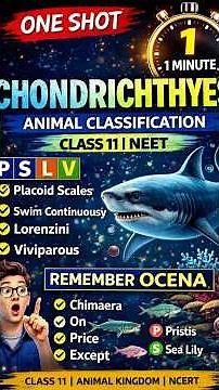Chondrichthyes in 1 Minute 🔥 | PSLV Trick | NEET Biology | 11th Biology
