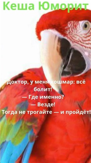 Кеша Юморит 69