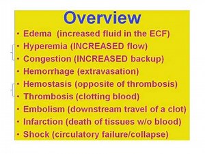 Pathology (Practical) ; lab 5 Hemodynamic disorders by Dr. Susan A Zwyea