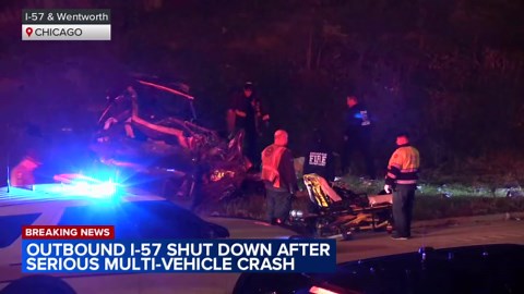 12-year-old boy, two adults killed in I-94 crash on South Side ID'd: officials