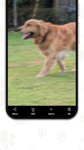 Zoomies don't wait for perfect shots. Pixel's Auto Unblur has you covered 📲🐾 Audio: @tseries