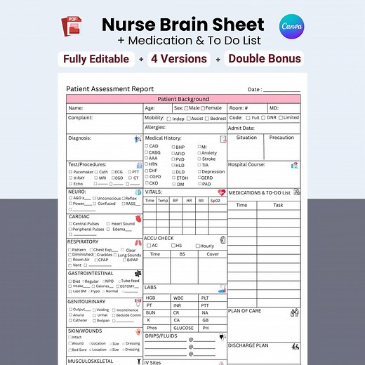Nurse Brain Sheet: Comprehensive Patient Assessment & Meds (printable PDF, Editable Canva) - Etsy