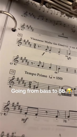 Mastering the Clarinet: Tips for Beginners