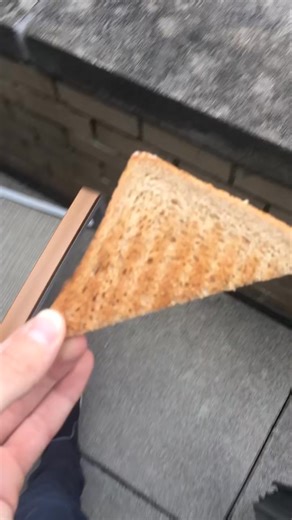 Moral of the story； don’t throw bread off a balcony_1 | soclean.yt