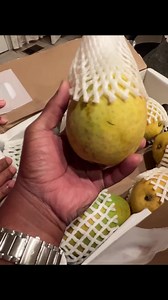 😇 USA Telugu Vlogs 😇 | USA RAJA Telugu vlogs