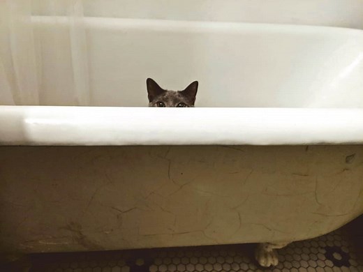 The Hidden Costs of a Clawfoot Tub - Bathtubber