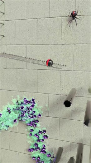 Do you know this song!#usa🇺🇸 #guessthesong | guess the song