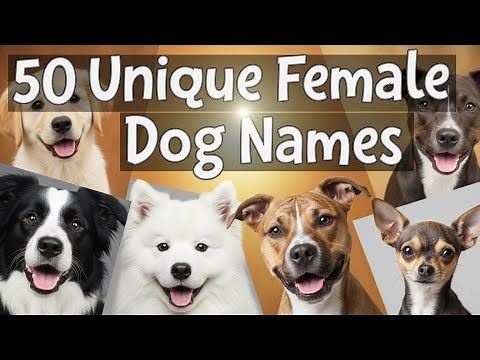 50 UNIQUE Female Dog Names 🐶💖 (Perfect Picks for Your Pup!)
