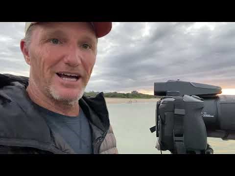 NIKON P950 unbox, field test and review - Ultra zoom, surfing, foil surfing, birdlife