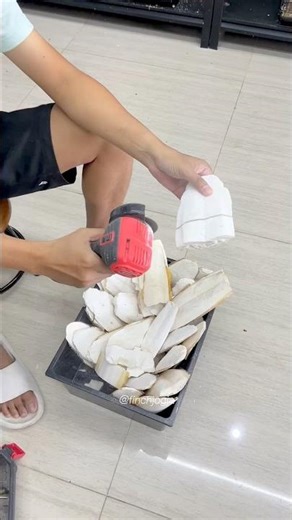 Preparing cuttlebone as a natural calcium source for finches. #gouldianfinch #birds