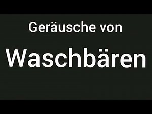 Geräusche von Waschbären 🔊