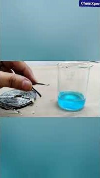 Magnesium Reacts with Copper Sulphate | ChemXpert | CBSE | NCERT #experiment #science #chemxpert