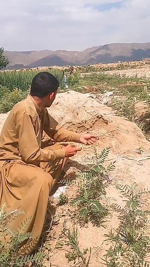 Real life pubg 😆 ep 1 | Anjali kumarii