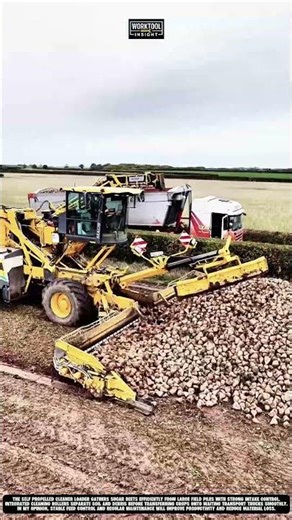Sugar Beet Loading using Self Propelled Cleaner Loader | best for Field Transfer Operations #tool