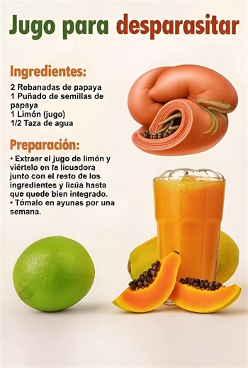 Jugo para desparasitar Ingredientes: 2 rebanadas de papaya 1 puñado de semillas de papaya 1 limón (jugo) 1/2 taza de agua Preparación: Extraer el jugo de limón y viértelo en la licuadora junto con el resto de los ingredientes y licúa hasta que quede bien integrado. Tómalo en ayunas por una semana. 🥤 Receta natural (versión explicada) Este jugo natural combina papaya, semillas de papaya y limón, ingredientes usados tradicionalmente para apoyar la limpieza digestiva. Coloca en la licuadora las re