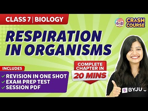 Respiration in organisms Class 7 Full chapter under 20 mins | BYJU'S