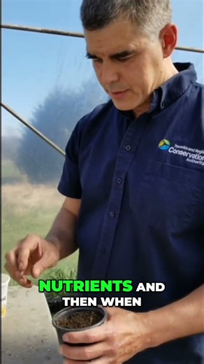 Unlock Garden Secrets: Biochar's Power for Thriving Plants! #shorts