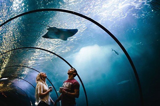 12 Best Aquariums in the U.S.