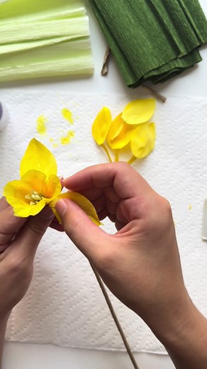 Kate Friedler on TikTok