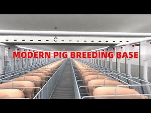 Modern pig farm breeding base design plan | GREAT FARM