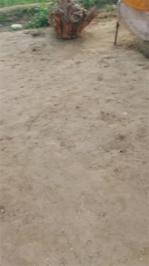 धोबी ब्रांड jnp on Instagram: "Library vlog"