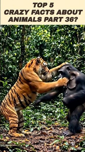 Crazy Facts About Animals | Part 36 | Amazing Facts | Mind Blowing Facts #Shorts
