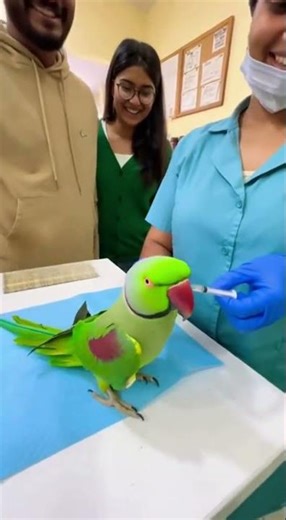 Bolne Wala Tota 🦜 Part 9 | Baat Sunke Sab Hans Pade. #BolneWalaTota #FunnyTota #TalkingParrot