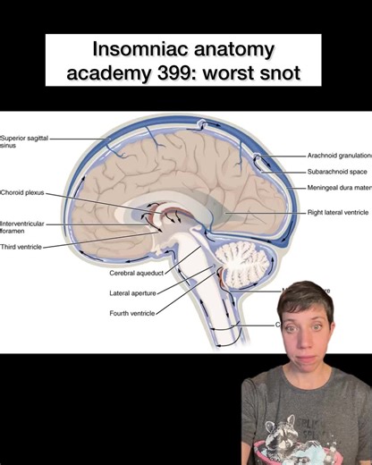 Insomniac anatomy academy 399: worst snot #science #stem #anatomy #brain #sciencefacts
