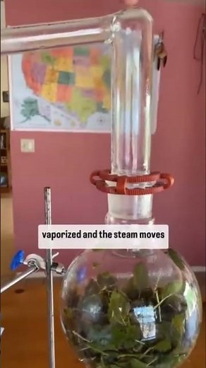 How essential oils are made via steam distillation