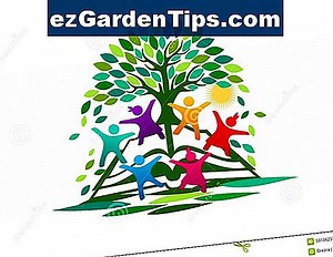 Identificación de la hoja del árbol de Mimosa 🌱 Tips Jardineros - Es.ezGardenTips.com