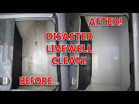 How to CLEAN LIVEWELLS on a BASS BOAT! Complete DISASTER CLEAN! (Easiest and Cheapest Way!)