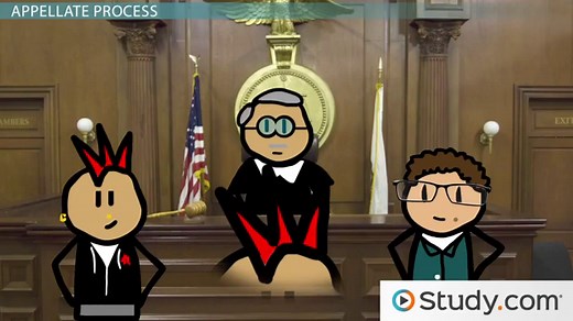 Judicial Decision Making: Steps & Participants