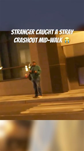 Stranger caught a stray crashout mid-walk 😭