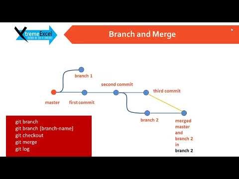 #8 - Git & Github | Git Branch | Switching between branches