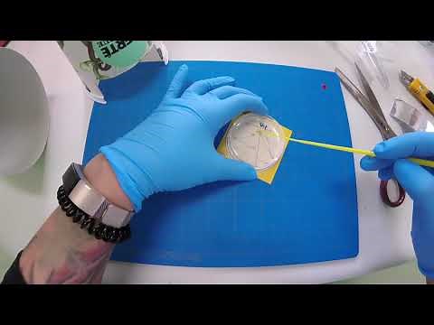 How to make a DIY incubator for home/classroom science experiments and genetic engineering