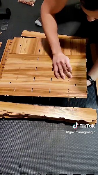 Gavin Wong Magic on TikTok