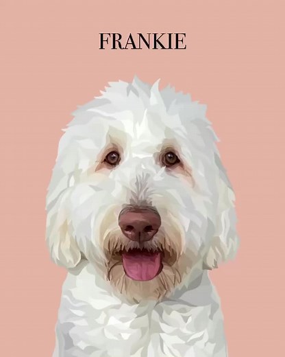 Creating a Digital Pet Portrait Guide