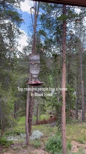 The feedback I get from my mountain home buyers is that mountain living upgraded their daily experience. Proximity: 55 minutes to Denver. You can still make that morning meeting. Lifestyle: a tight-knit community with a historic heart and trails and fishing outside your door. Strategy: low property taxes, high-value community amenities. Comment GUIDE and I’ll send you a copy of my Colorado Mountain Home Buyer’s Guide or click the link in my bio for more resources! #mountainhome #movingtocolorado