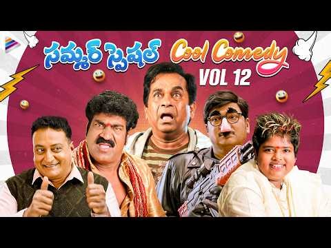 Summer Special Cool Comedy Scenes | Best Telugu Comedy Scenes | VOL 12 | Brahmanandam | Sunil | TFN