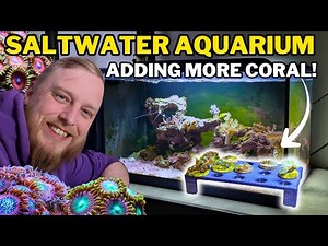 How to setup a saltwater aquarium! Adding LOTS more CORALS! Dosing, fragging and 3d printing!