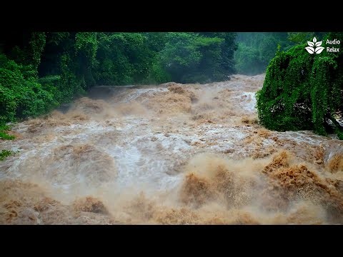 Embrace the Rapids: 10 Hours of Soothing Rapid River Sounds, Rushing Water Stream, Raging River