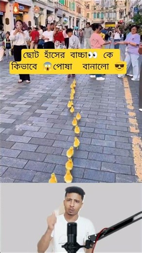 I Tested Duckling Care Techniques