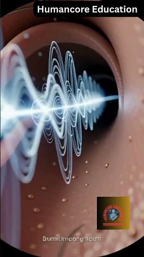 How Sound Travels Inside Your Ear 3D Animation