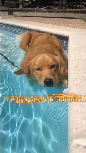 when i was in trouble // when my family was in trouble ❤️‍🔥// DRAW_PARADOX //