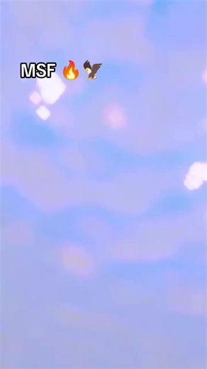 MSF zindabad 🔥🦅#msf #msfgroup #kahuta #friends #fyyypppppppppppppp @MSF(N)گجرات والے ہیں @Aliyan MSF(N) kharian @گجرات الا # 94 🔥 @🍁Billa ButT☠️ @ABDLuHaDi12345678910 11121314 @ADNAN JUTT kassoki ala512 @ALIDOGAR @ÂMÎR_-_RÄbBÄÑÏ @Azeem💀 4747💯☠️👀