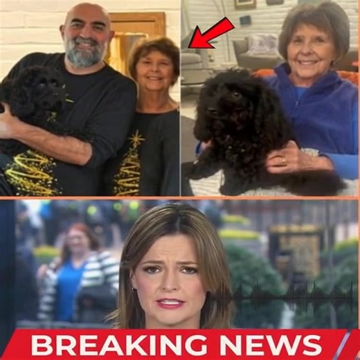 SHOCKING DISCOVERY: 🇺🇸🇺🇸🇺🇸 While bathing her mother’s dog, Savannah Guthrie removes its collar — uncovering a luxury pet tracker with a hidden MICROPHONE. When she opens the audio file, it captures the sound of industrial tape and a woman’s voice… not Nancy’s, yet chillingly similar. Check the first comment. | Bobbie D. Sutherland