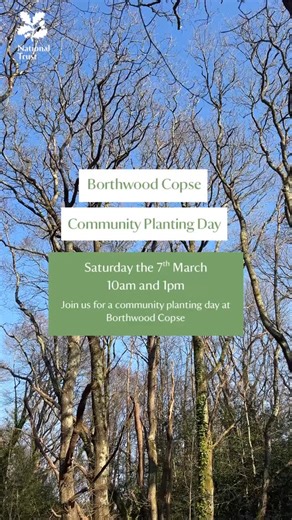 Community Tree Planting Day at Borthwood Copse Join us on Saturday 7th March for a community planting day focused on restoring local wildlife habitat. We’ll be planting native hazel bushes, which provide an important food source and shelter for animals such as dormice and red squirrels, helping to restock and strengthen the area for the future. Session times: • 10am • 1pm Meeting point: Parish Council car park (please arrive at the start of your chosen session) Good to know: • No booking require
