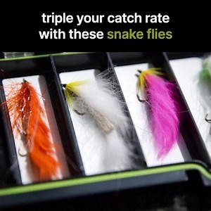 1.2K views · 26 reactions | 6 hand picked snake flies in a snake fly...