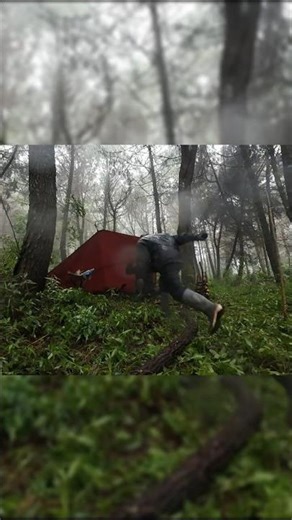 Heavy Rain in the Forest | Relaxing Sound #camping #heavyrain #bushcraft